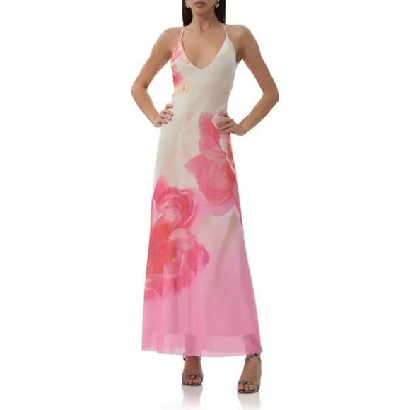 AFRM Romy Floral Mesh Maxi Slipdress - Picture 1 of 6